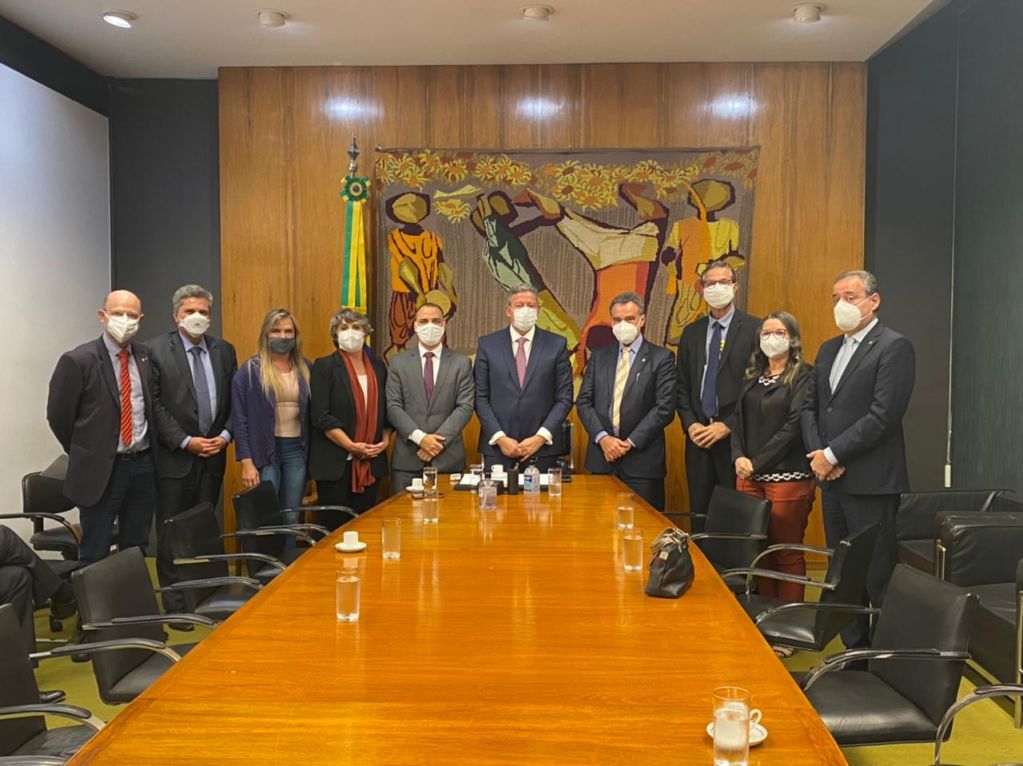 15.6.21 reuniao camara federal c8686