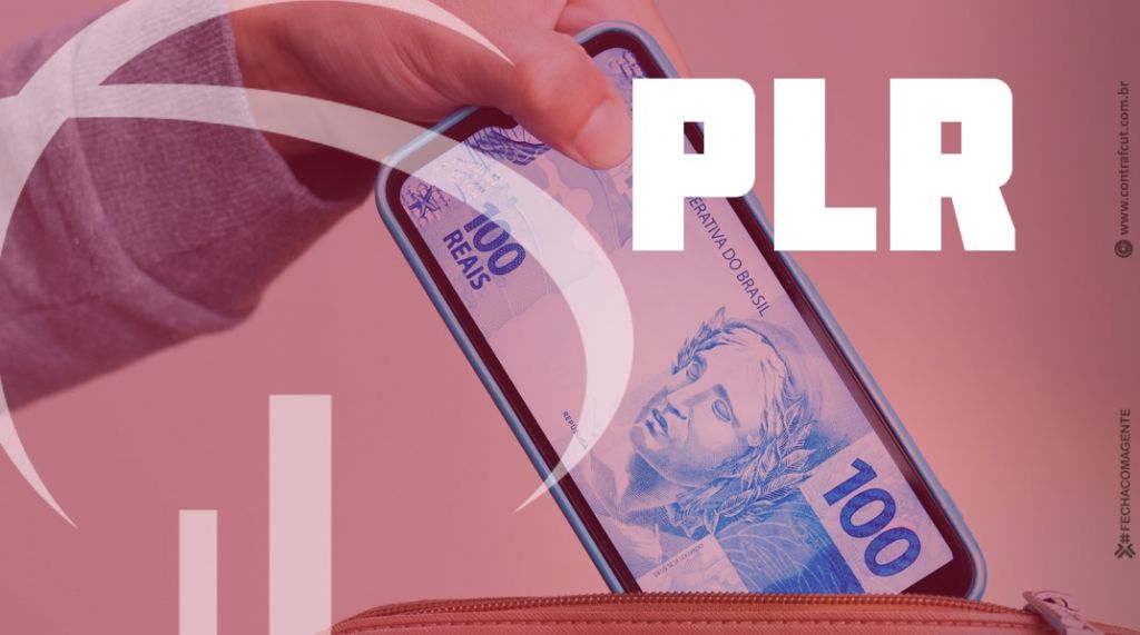 2024 bradesco plr d50f6