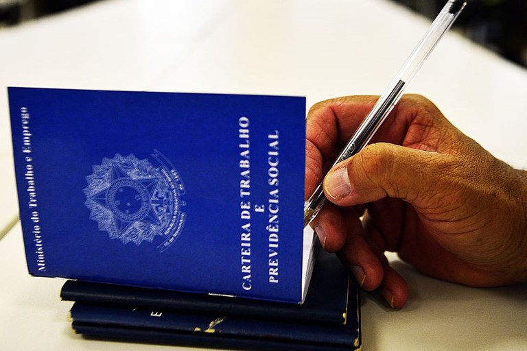 2024 carteira de trabalho caneta 50704