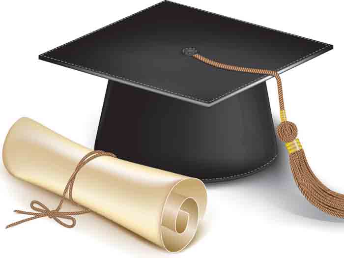 2024 bolsa estudo 391de