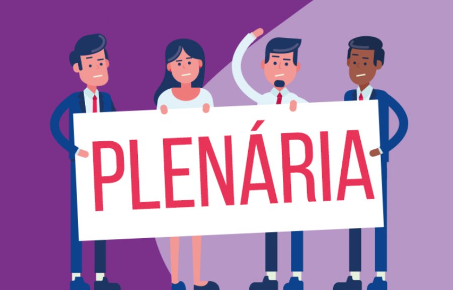 3. plenaria bahia d9870
