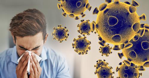 coronavirus graphic web feature 355cd