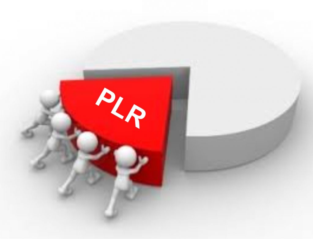 pagamento plr d446f