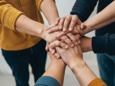 Pesquisa Vox Populi: A Força Incontestável dos Sindicatos e o Direito Fundamental à Greve sindicatos 7a64e